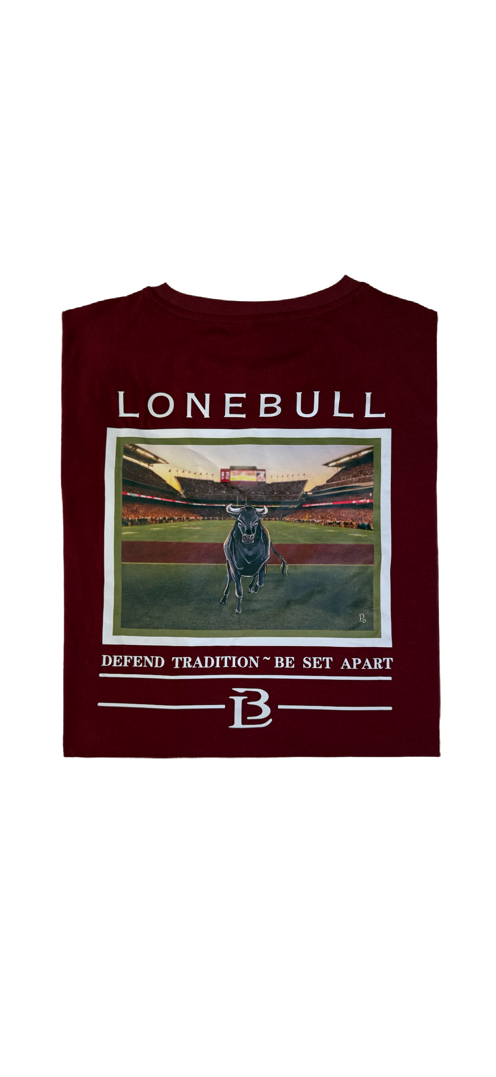 Short sleeve Graphic T's