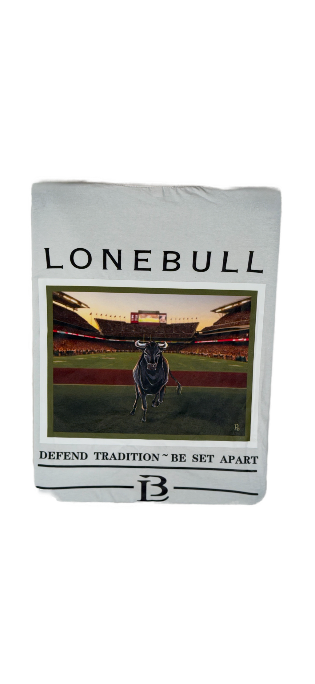 Short Sleeve Graphic T's