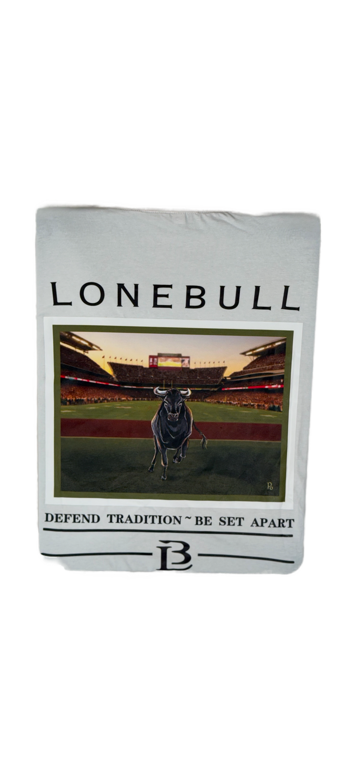 Short Sleeve Graphic T's